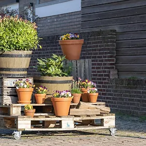 geulle-apartment.valkenburgaandegeul-hotels.com/